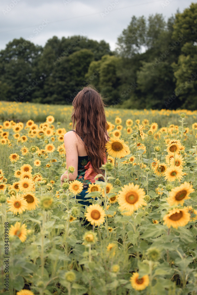 Fototapeta premium girl in a field of sunflowers