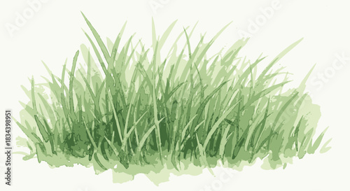 Vibrant green watercolor grass illustration capturing fresh, lush blades in a natural, organic style, perfect for spring and summer designs and eco-friendly projects