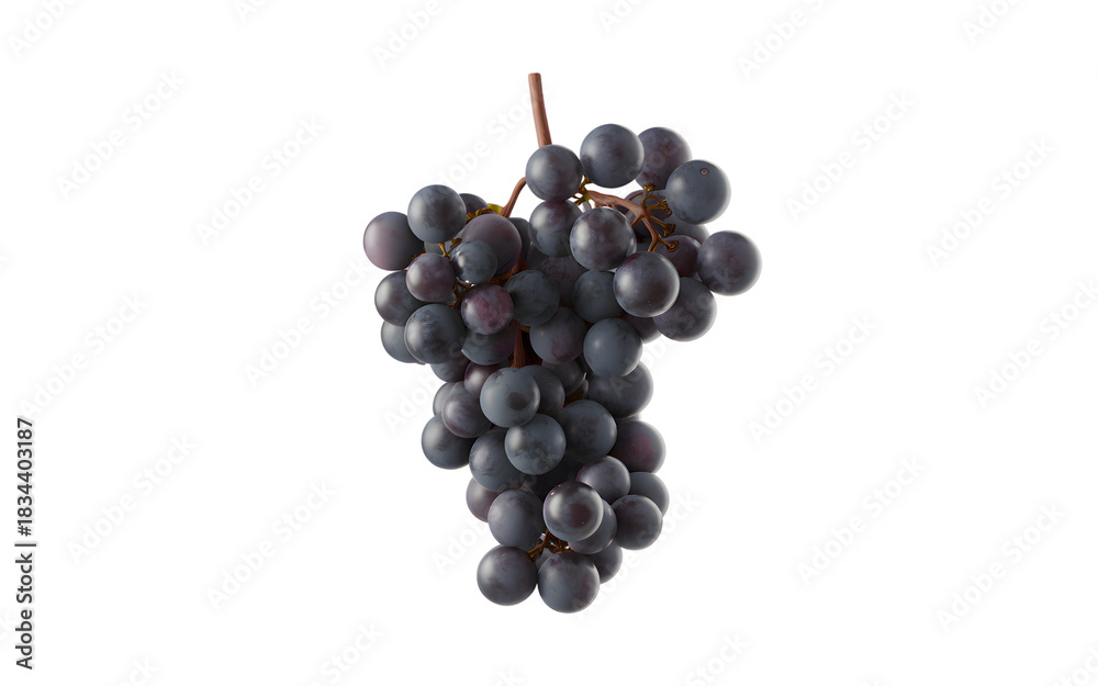 Fototapeta premium Dark red grape bunch isolated on transparent background