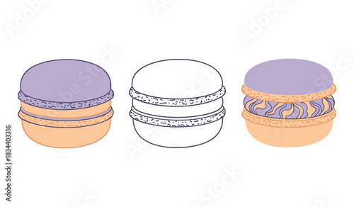Purple and Orange Macaron Cookies in Full Color Outline and Detailed Variations whisk