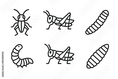 Edible Insect Icons. Line style icons of edible insects: cricket, grasshopper, mealworm, silkworm, locust, black soldier fly larva