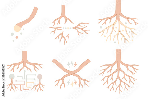 Underground Root Network. Isometric vector illustration set Underground tree root communication network: root tip emitting