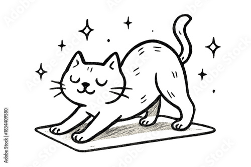 Yoga Cat Stretching. Playful doodle cat stretching in a yoga pose on a tiny mat, calm expression and floating sparkles of zen, No