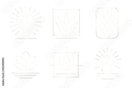 Geometric Desert Radiance. Line style icons of geometric desert illumination: radiant grid behind spiny plant, glowing aloe on