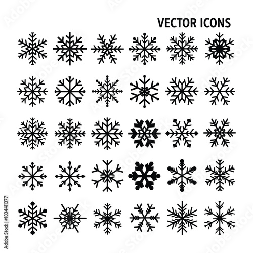 Collection of snowflakes vector icons isolated on for winter