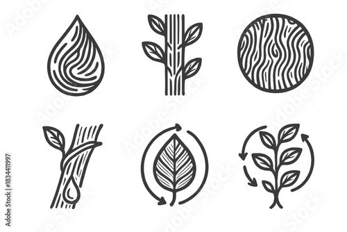 Engraved Plant Circulation Icons. Line style icons of engraved plant circulation: carved flow, printed stem, rhythmic bark, sap
