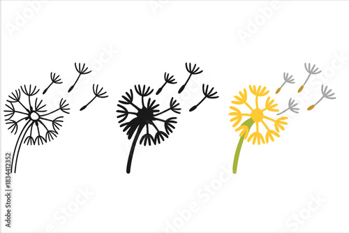 Dandelion Seed Variations. Close-up of single dandelion releasing seeds forming gentle airborne formation, first in line style