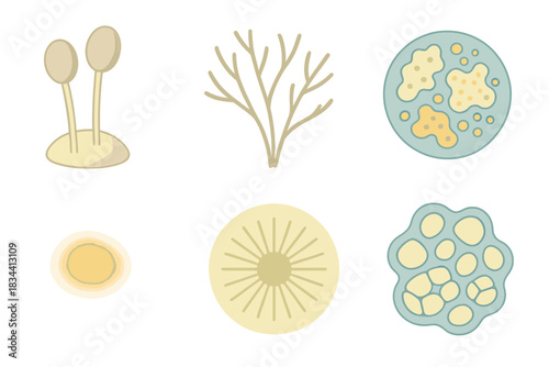 Mycological Microforms Art. Isometric vector illustration set Mycological microforms: spore capsules, fine filaments, patterned