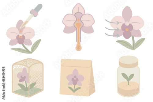 Orchid Pollination Techniques. Isometric vector illustration set Rare orchid pollination techniques: dropper applying diluted