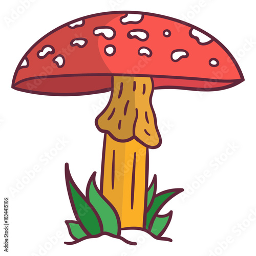 Fungus amanita mushroom illustration