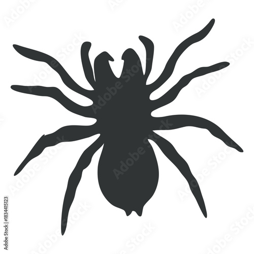Goliath tarantula spider silhouette