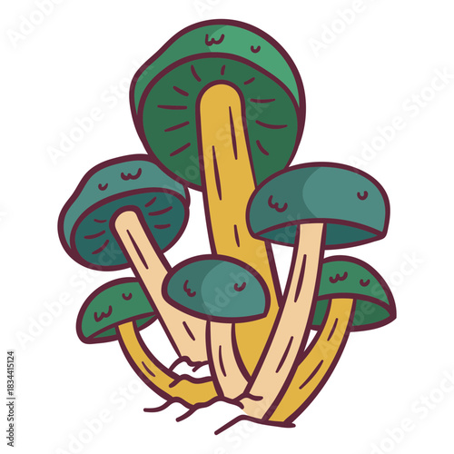 Funguses group illustration