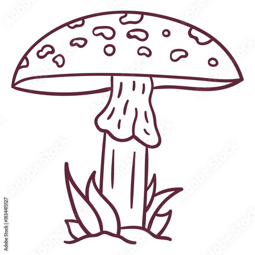 Fungus amanita mushroom stroke