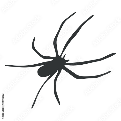 Long legged spider arachnid silhouette