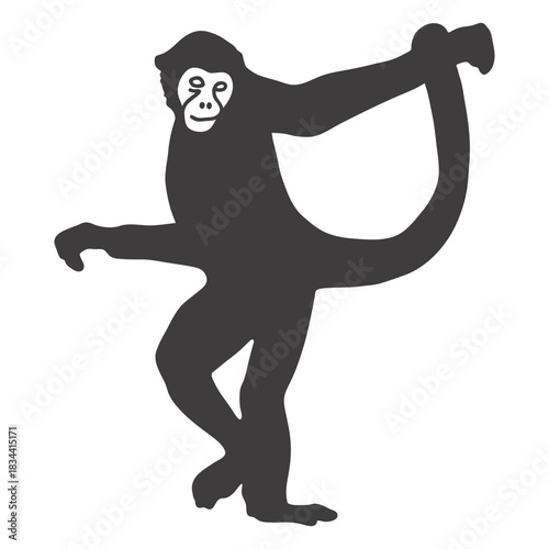 Monkey dancing animal