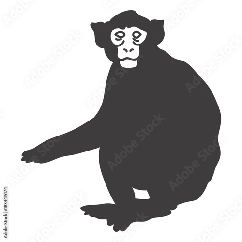 Monkey sitting animal