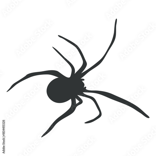 Spider tarantula arachnid silhouette