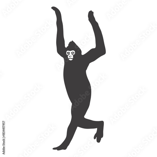 Walking monkey animal