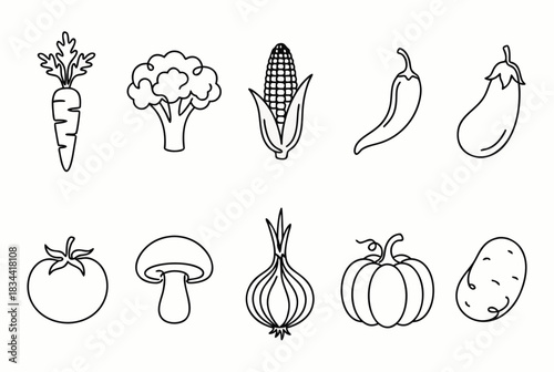 Minimalist Line Drawings of Vegetables – Educational and Food Illustration Collection