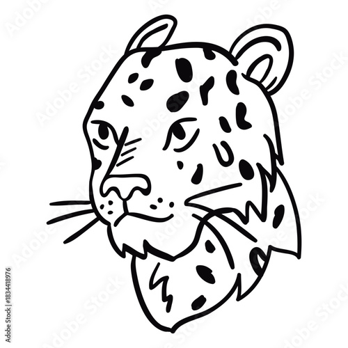 Puma head profile stroke