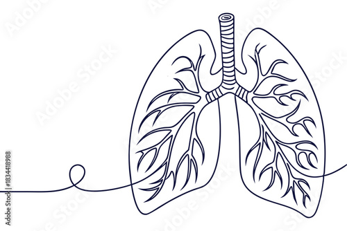 Minimalist Line Drawing of Human Lungs Healthcare Illustration Medical Anatomy Concept