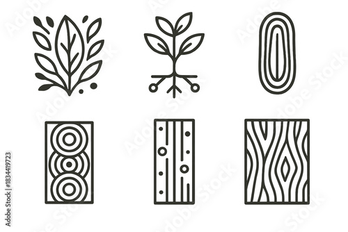 Botanical Line Art. Icons for: abstract botanical print replicas, minimalist plant flow diagrams, linear sap channel outlines,