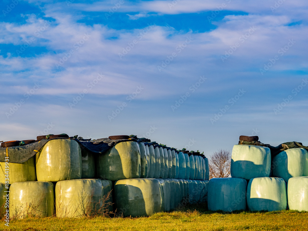 Obraz premium Stroh und Silageballen lagern auf einem Feld 