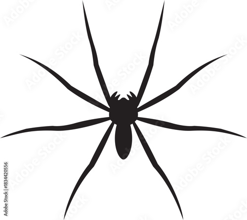 Spider silhouettes vector icon. Scary spider species and poses. Creepy arachnid icon for Halloween design. Black insect illustration isolated on transparent background.