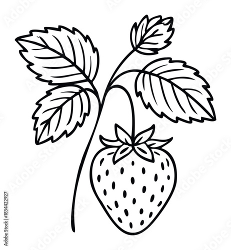 Line art of a strawberry plant with a single berry and leaves, suitable for various uses in food, health, and agriculture themes.