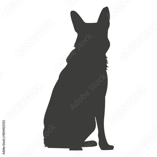 German shepherd sitting down silhouette dog
