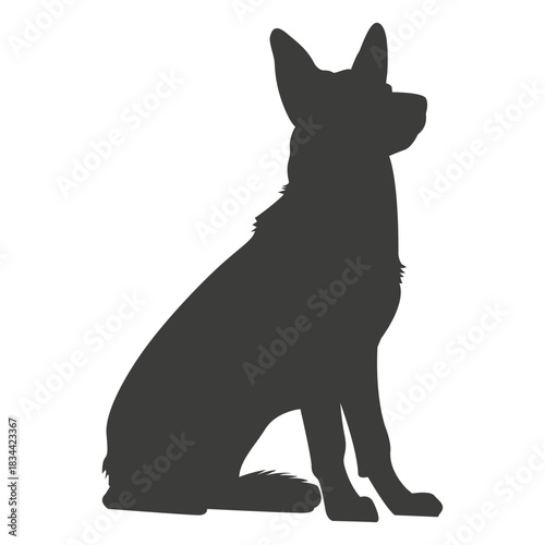 German shepherd sitting silhouette dog