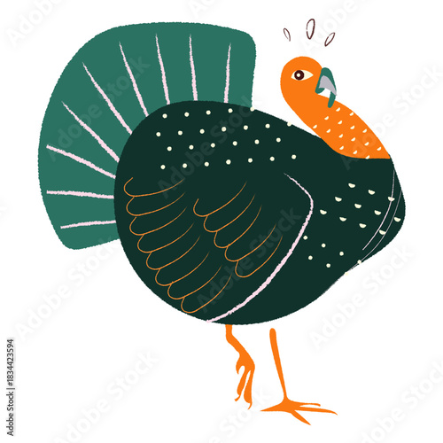 Surprised turkey hand drawn turkey