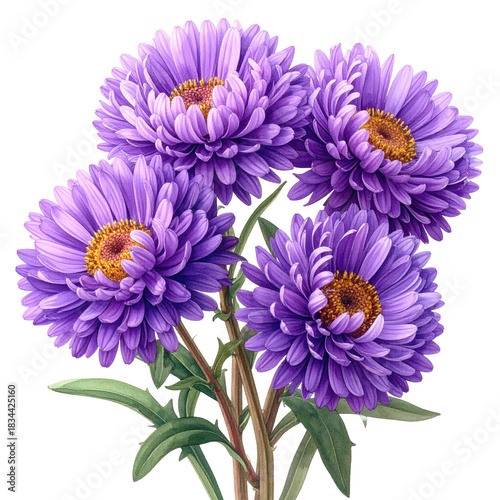 A cluster of four vibrant, purple flowers with yellow centers and green foliage
