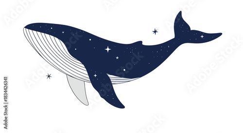 Mystical illustration of a majestic whale silhouette filled with a celestial star pattern, creating a magical and cosmic ocean animal design.
