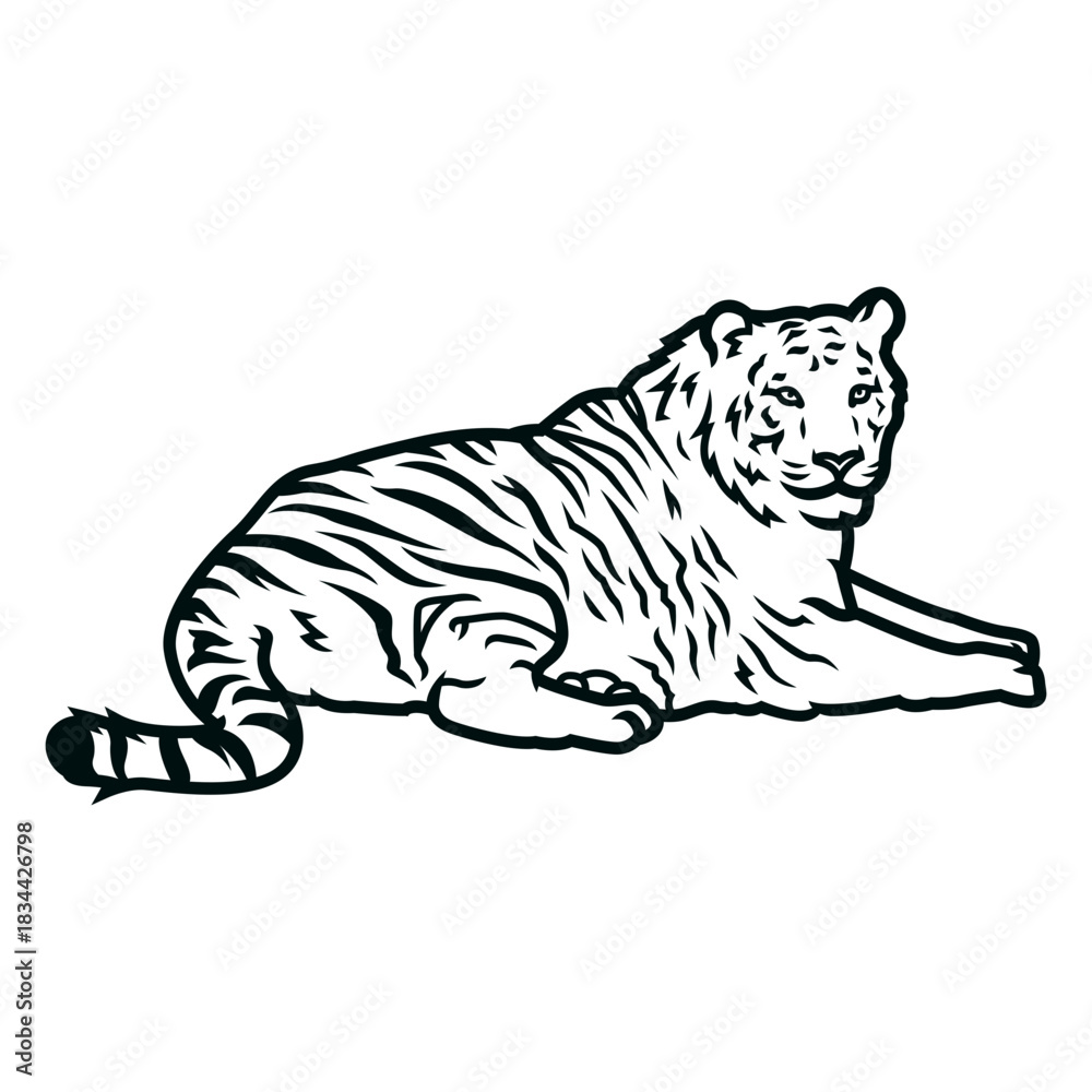 Fototapeta premium Tiger laying down stroke