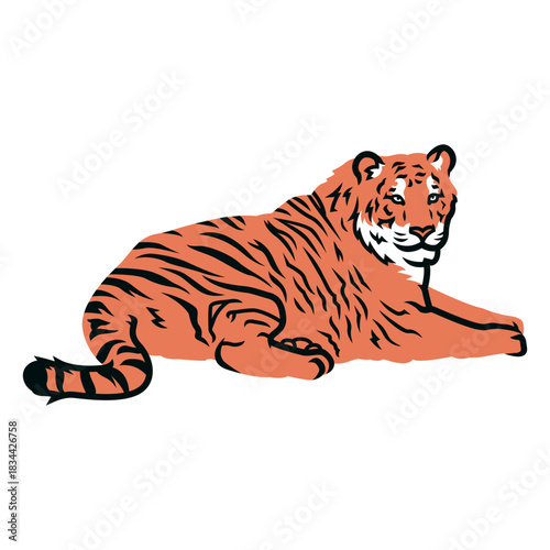 Tiger laying down illustration