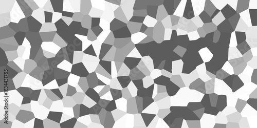 High contrast grayscale abstract geometric mosaic with irregular polygonal shapes and sharp black outlines on a white background