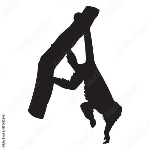 Golden lion tamarin silhouette