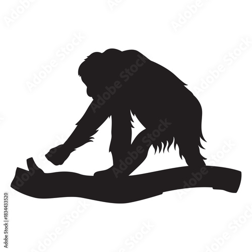 Orangutan monkey silhouette