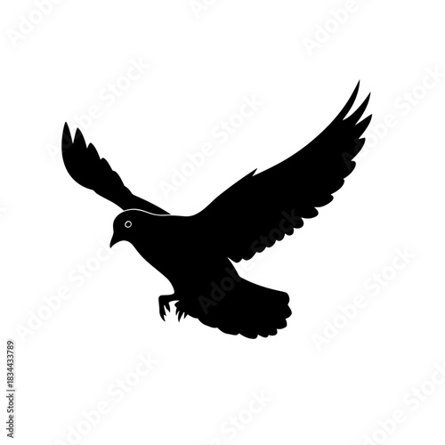 pigeon in flight