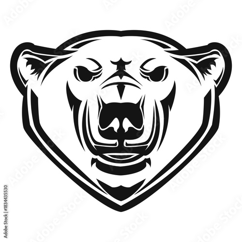 Grizzly bear head high contrast