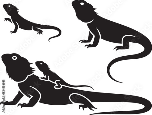 Black silhouettes of bearded dragons or spiny lizards depicted in several sizes and standing positions