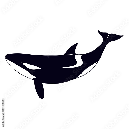 Killer whale swimming filled-stroke
