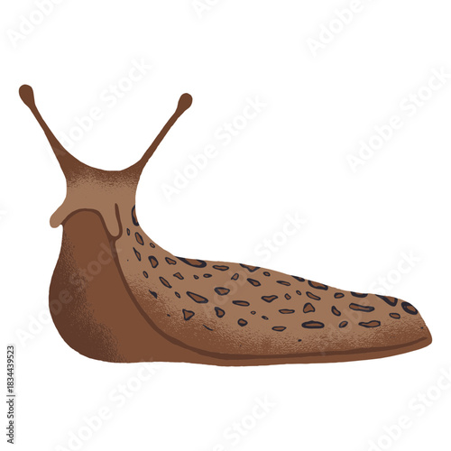 Slug sliding illustration