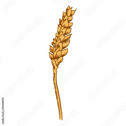 Sloping wheat illustration