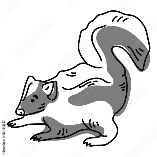 Skunk animal doodle