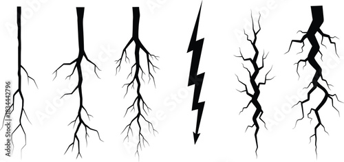 Black and white vector illustrations of lightning and tree roots