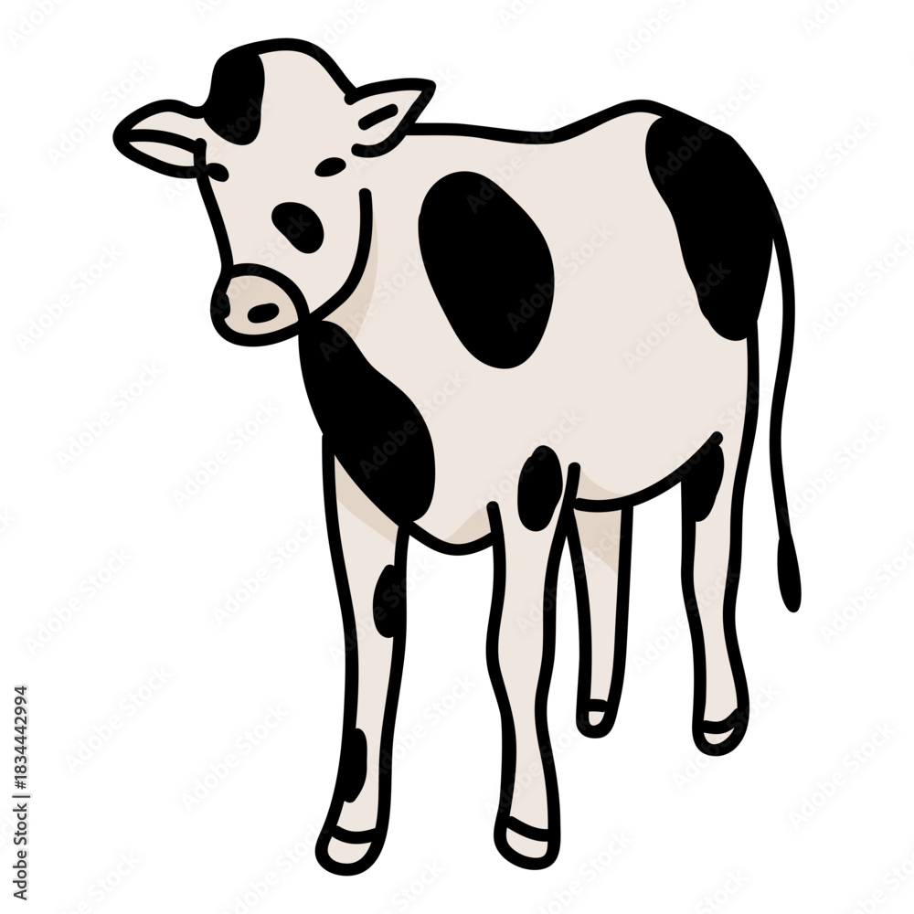Fototapeta premium Semi flat milk cow