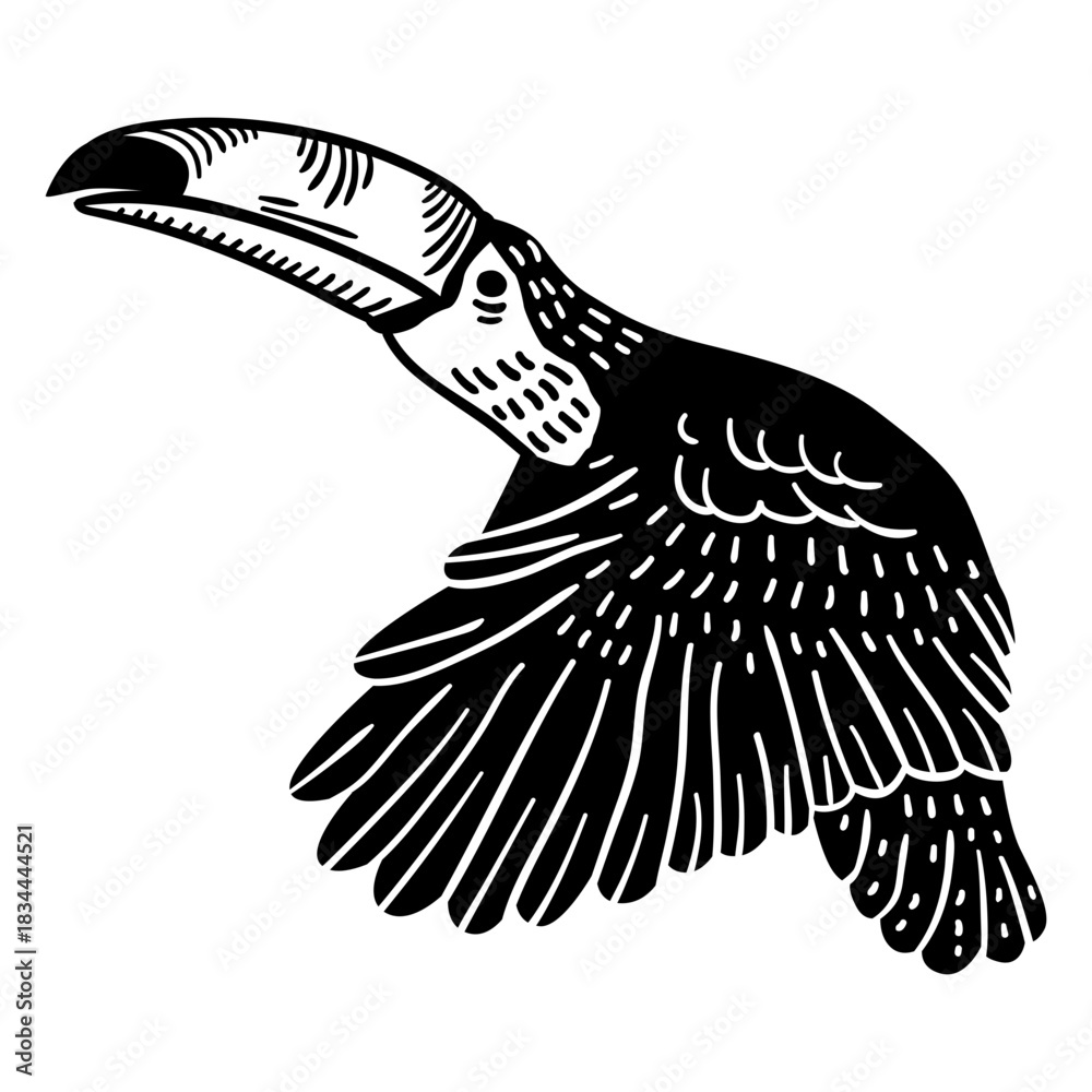 Naklejka premium Toucan bird flying