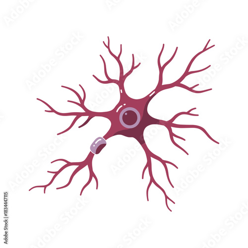 Neuron Cell Illustration in Scientific Style Using Soft Purple Tones Representing Axon and Dendrite Structure